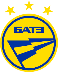 Second team logo