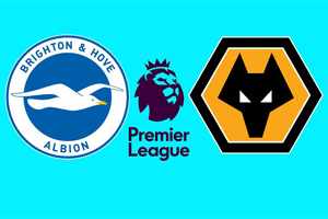 Brighton vs Wolverhampton: prediction for match