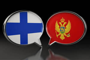 Finland vs Montenegro: prediction for the match