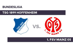 Hoffenheim vs Mainz: prediction for the Bundesliga