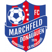 Second team logo