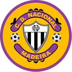 Second team logo