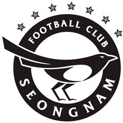 Second team logo