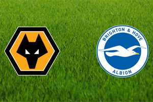 Wolverhampton vs Brighton Match Prediction