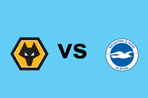 Wolverhampton vs Brighton: prediction for the FA Cup