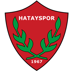 Second team logo