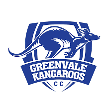 First team logo