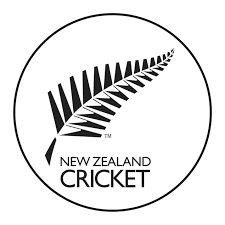 Second team logo