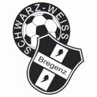 Second team logo