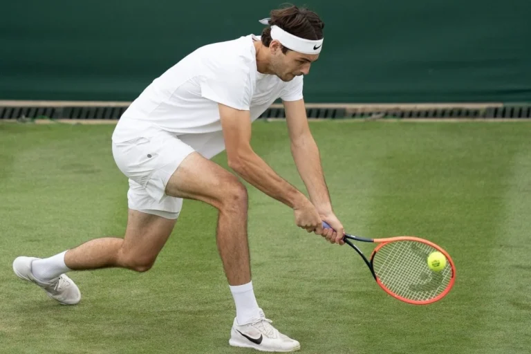 ATP Match Prediction: Taylor Fritz vs João Fonseca