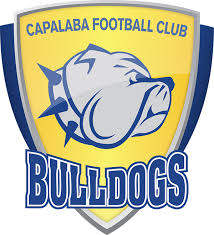Second team logo