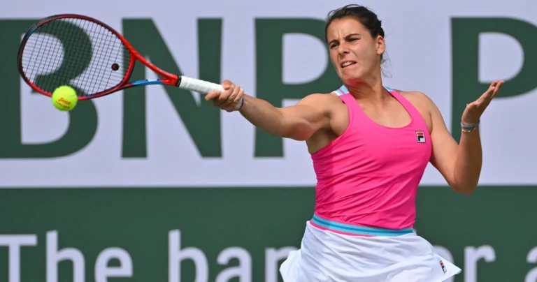 WTA match Prediction: Eliza Navarro vs Anastasia Anisimova