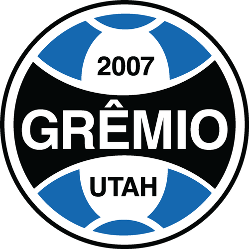 Second team logo