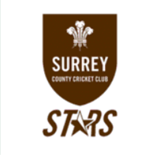 Second team logo