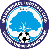 Second team logo