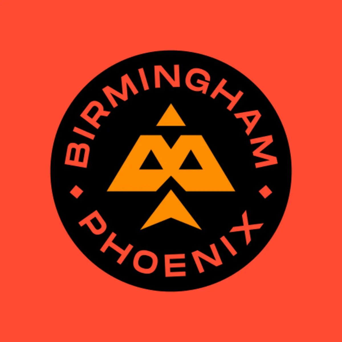 First team logo