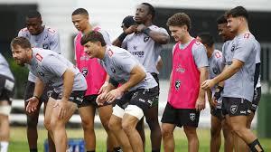 Copa Libertadores Play Offs match Prediction - Botafogo RJ vs LDU Quito