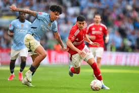 English Premier League match Prediction - Nottingham Forest vs Brentford
