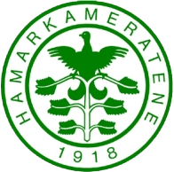 Second team logo