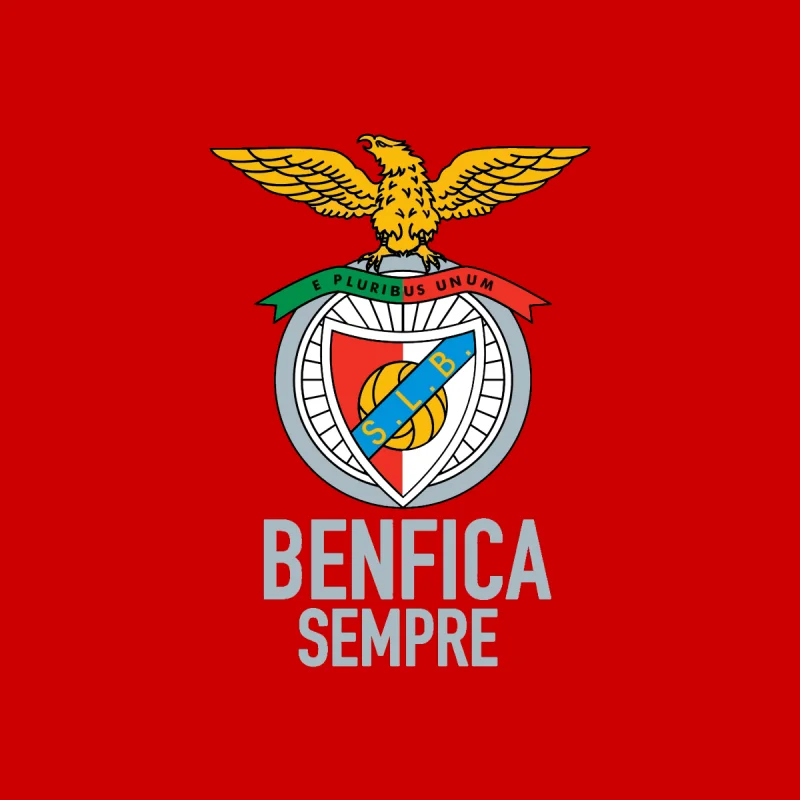 Second team logo