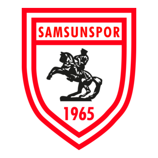 Second team logo