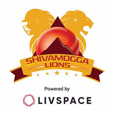 Second team logo