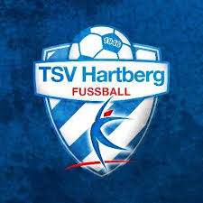 Second team logo