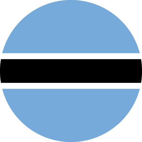 First team logo