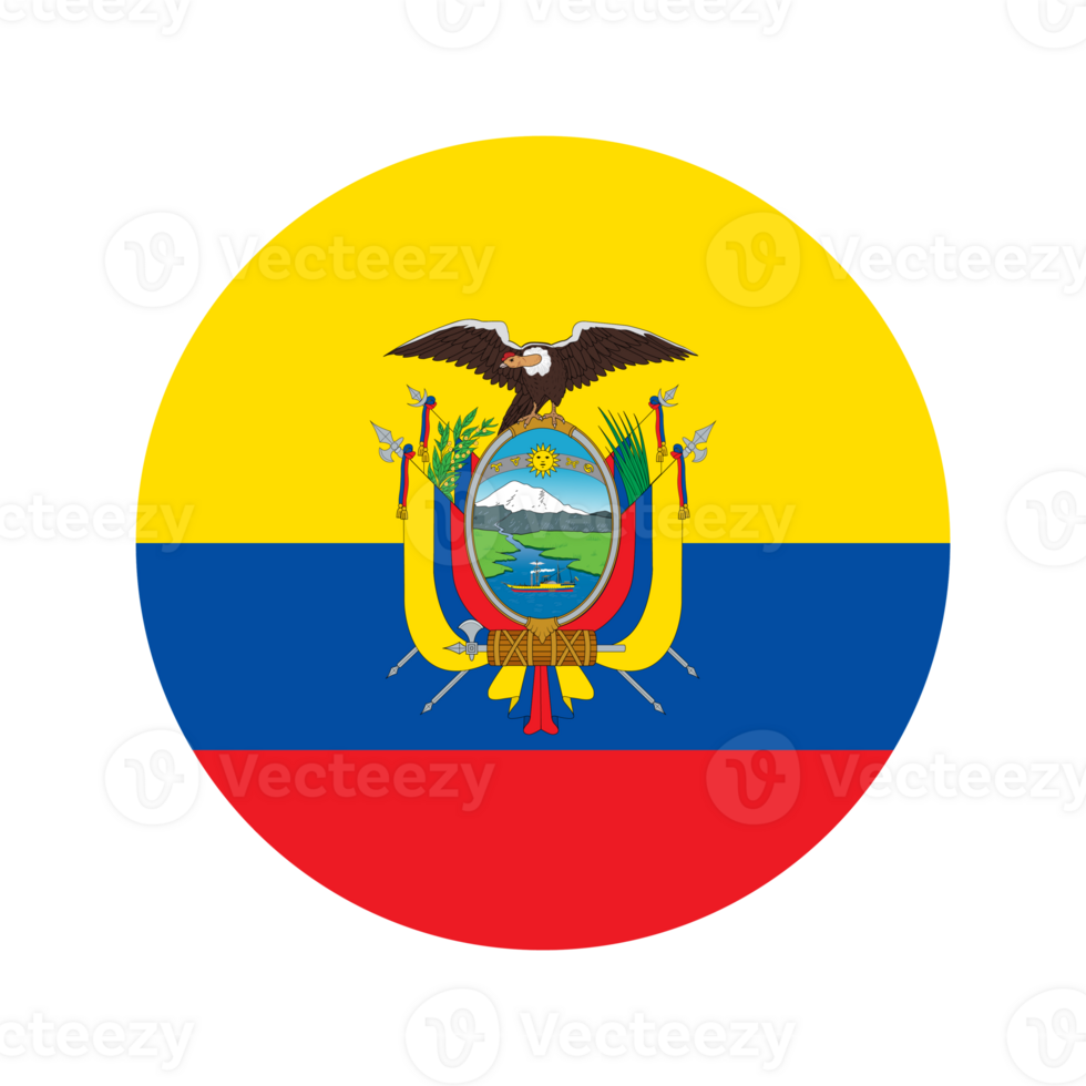 First team logo