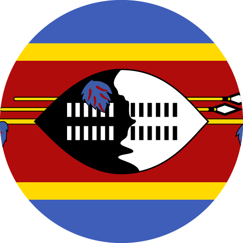 First team logo