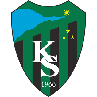 Second team logo