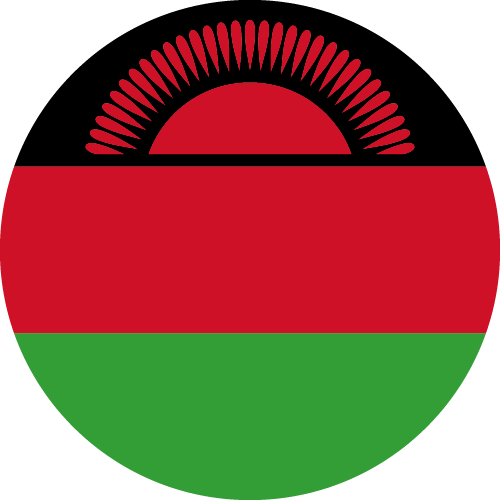 First team logo