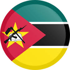 First team logo