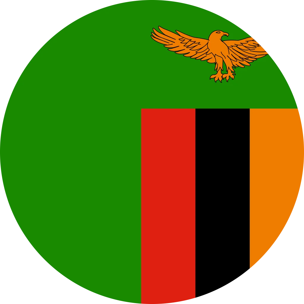 First team logo