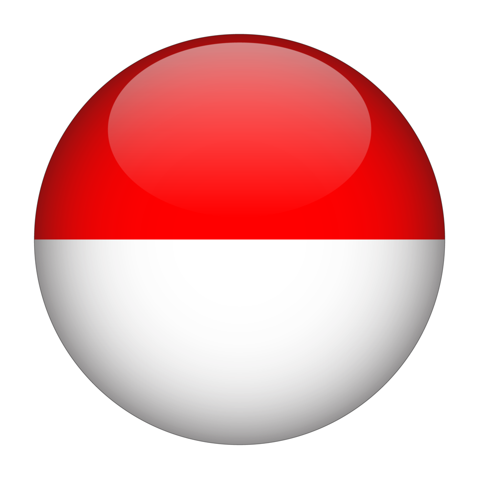 First team logo