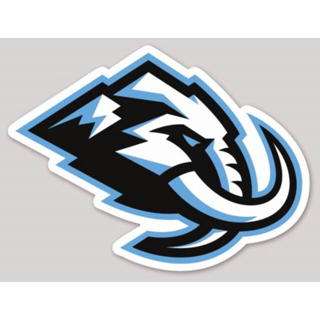 Second team logo