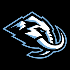 First team logo