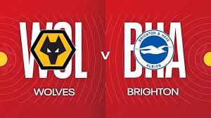 Wolves vs Brighton