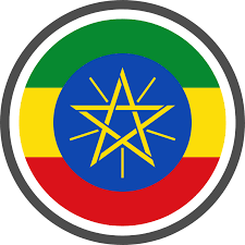 First team logo