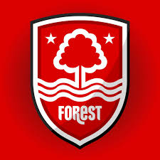 Second team logo
