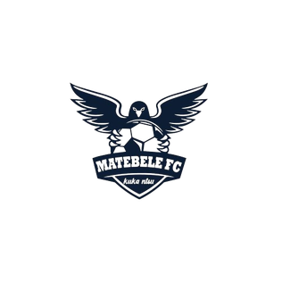 First team logo