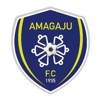 Second team logo