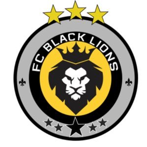 Second team logo