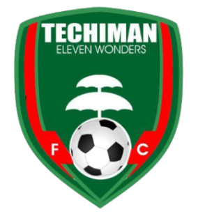 Second team logo