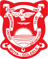 First team logo