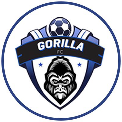 Second team logo