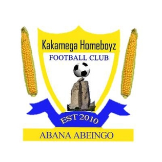 Second team logo