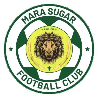 Second team logo