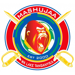 Second team logo