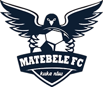Second team logo